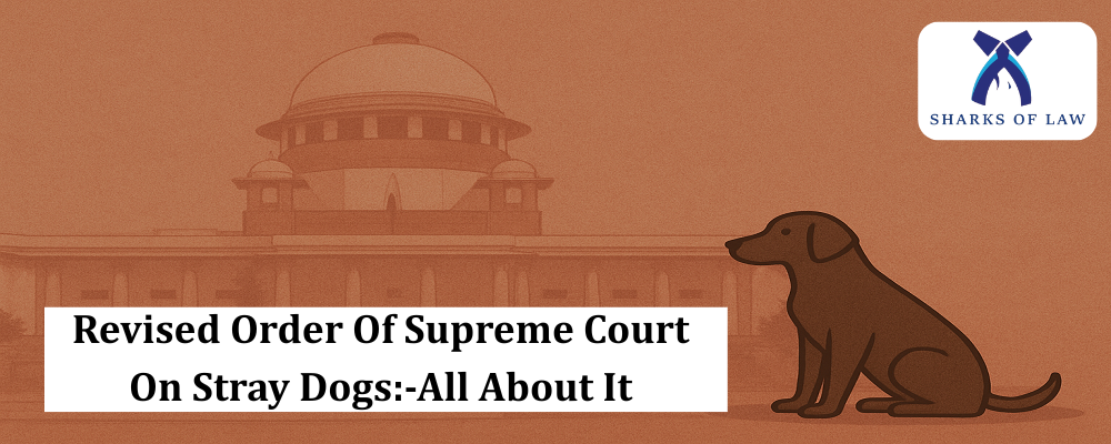 Revised Order Of Supreme Court On Stray Dogs:-All About It